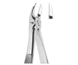 Extracting Forceps English pattern